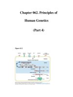 Chapter 062. Principles of Human Genetics (Part 4) ppsx