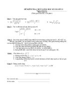 Đề thi cuối năm toán 11-NC năm 2010