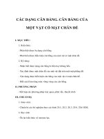 Vật lý lớp 10 cơ bản - CÁC DẠNG CÂN BẰNG - CÂN BẰNG CỦA MỘT VẬT CÓ MẶT CHÂN ĐẾ pot