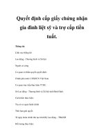 Quyết định cấp giấy chứng nhận gia đình liệt sỹ và trợ cấp tiền tuất pot