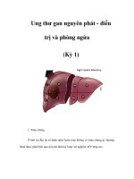 Ung thư gan nguyên phát - điều trị và phòng ngừa (Kỳ 1) doc