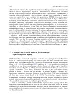 Sarcopenia Age-Related Muscle Wasting and Weakness: Mechanisms and Treatments P48 potx