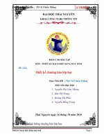 BÁO CÁO BÀI TẬP MÔN : THIẾT KẾ MẠCH ĐIỆN BẰNG MÁY TÍNH potx