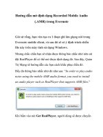Hướng dẫn mở định dạng Recorded Mobile Audio (.AMR) trong Evernote docx