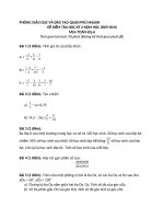 Đề thi học kỳ 2-lớp 6-2009-2010