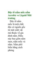 Độc tố nấm mốc nấm Aerobic vs Liquid Môi trường potx