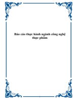 Báo cáo thực hành ngành công nghệ thực phẩm pptx