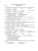 Đề luyện thi TN- Hoá (1)