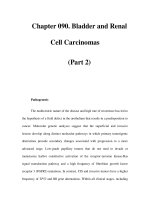Chapter 090. Bladder and Renal Cell Carcinomas (Part 2) docx