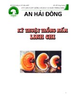KT Trồng Nấm Linh Chi