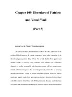Chapter 109. Disorders of Platelets and Vessel Wall (Part 3) pot