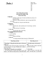 GA Mĩ thuật lớp 3 (cả năm)