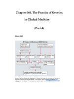 Chapter 064. The Practice of Genetics in Clinical Medicine (Part 4) potx