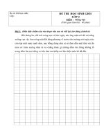 Đề thi HSG Tiếng Việt 2