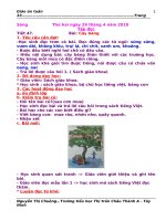 Giáo án lớp 1 tuần 33. 2 buổi / ngày ( KT-KN)