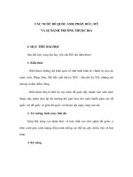 CÁC NƯỚC ĐẾ QUỐC ANH, PHÁP, ĐỨC, MỸ VÀ SỰ BÀNH TRƯỚNG THUỘC ĐỊA - Lịch sử lớp 10 pdf