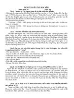 Đề cương ôn tập Sử 8 hay