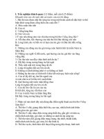 de thi tham khao mon van HK2 lop 9