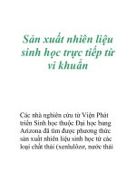 Sản xuất nhiên liệu sinh học trực tiếp từ vi khuẩn potx