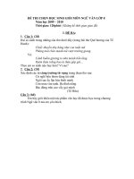 ĐÈ THI VÀ ĐÁP ÁN THI HỌC SINH GIỎI VĂN 8 -2010 HUYỆN HẢI LĂNG