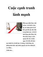 Cuộc cạnh tranh lành mạnh ppt