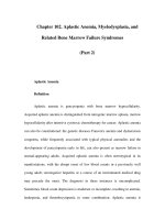 Chapter 102. Aplastic Anemia, Myelodysplasia, and Related Bone Marrow Failure Syndromes (Part 2) ppsx