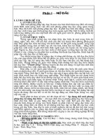 SKKN TIẾNG ANH: How to teach “Reading Comprehension”