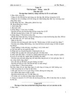 lop 4 tuan 35-CKTKN 10 buoi