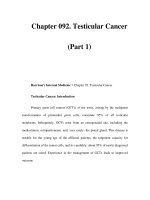 Chapter 092. Testicular Cancer (Part 1) potx