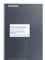 báo cáo tài chính hợp nhất của công ty mẹ sau kiểm toán 2009 tổng công ty cổ phần dịch vụ kỹ thuật dầu khí việt nam