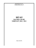 Hồ sơ Đại hội chi bộ NK2010-2012