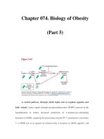 Chapter 074. Biology of Obesity (Part 5) docx