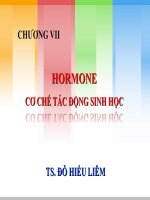 CHƯƠNG VII: HORMONE CƠ CHẾ TÁC ĐỘNG SINH HỌC doc