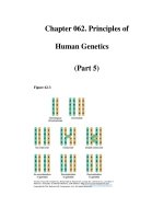 Chapter 062. Principles of Human Genetics (Part 5) pot