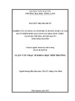 Nghiên cứu sử dụng cỏ vetiver và dương xỉ để cải tạo đất ô nhiễm kim loại nặng sau khai thác thiếc tại xã Hà Thượng, huyện Đại Từ, tỉnh Thái Nguyên