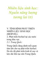Nhiên liệu sinh học: Nguồn năng lượng tương lai (tt) docx