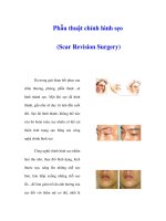 Phẫu thuật chỉnh hình sẹo (Scar Revision Surgery) pot