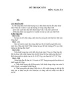 Đề Kiểm tra Học kỳ II môn Vật Lý khối lớp 8