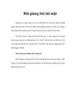 Bài giảng Sỏi túi mật pps