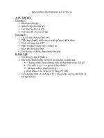 ĐỀ CƯƠNG ÔN TẬP THI HK 2 MÔN TIN 11