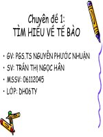 Tìm hiểu về tế bào pps