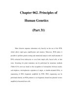Chapter 062. Principles of Human Genetics (Part 31) docx