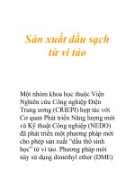 Sản xuất dầu sạch từ vi tảo doc