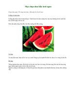 Mẹo chọn dưa hấu tươi ngon