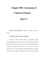 Chapter 095. Carcinoma of Unknown Primary (Part 1) pdf