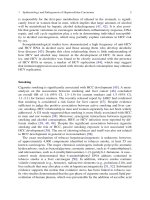 Hepatocellular Carcinoma: Targeted Therapy and Multidisciplinary P3 pot