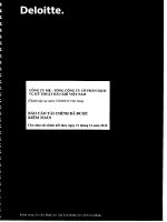báo cáo tài chính của công ty mẹ đã kiểm toán 2010 tổng công ty cổ phần dịch vụ kỹ thuật dầu khí việt nam ptsc