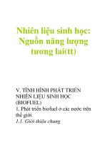 Nhiên liệu sinh học: Nguồn năng lượng tương lai(tt) docx