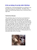 Bí ẩn con đường cổ xưa bậc nhất ở Việt Nam pps