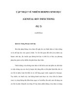 CẬP NHẬT VỀ NHIỄM HERPES SINH DỤC (GENITAL HSV INFECTIONS) (Kỳ 2) potx